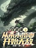 双武魂:从杀未婚妻开始无敌