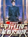 平行世界官场小说